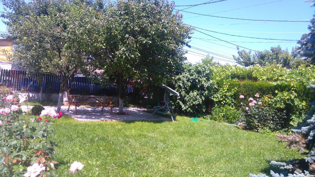 קוסטינסטי Zoi Residence מראה חיצוני תמונה